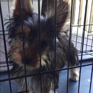 Meet your Posher, Tammy